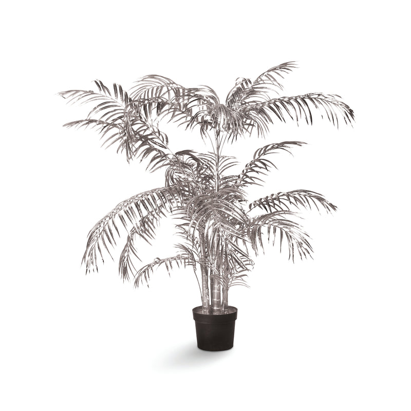 Acrea Silver Palm