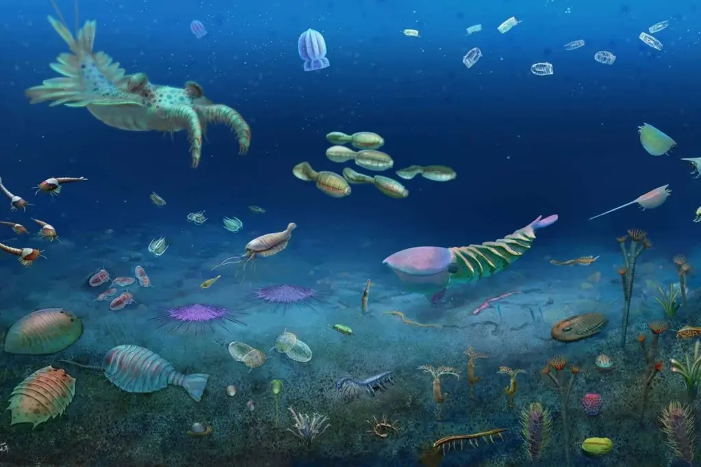 Extraordinary 512-Million-Year-Old Fossil Site Discovered in Southern China Reveals Ancient Ecosystem