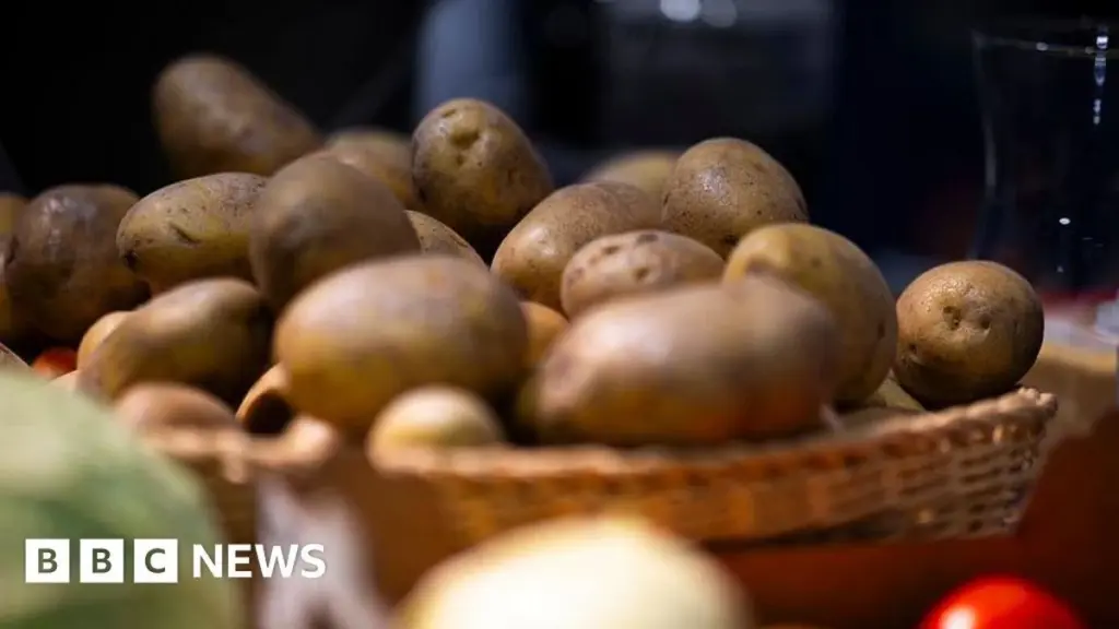 Germany's Bumper Potato Harvest Leads to Massive Giveaway