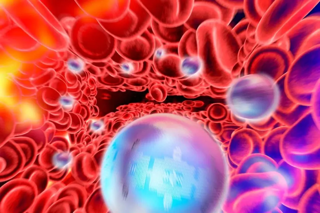 novel Nanotherapy Combats Bone Cancer Pain and Growth by Disrupting Nerve Interaction