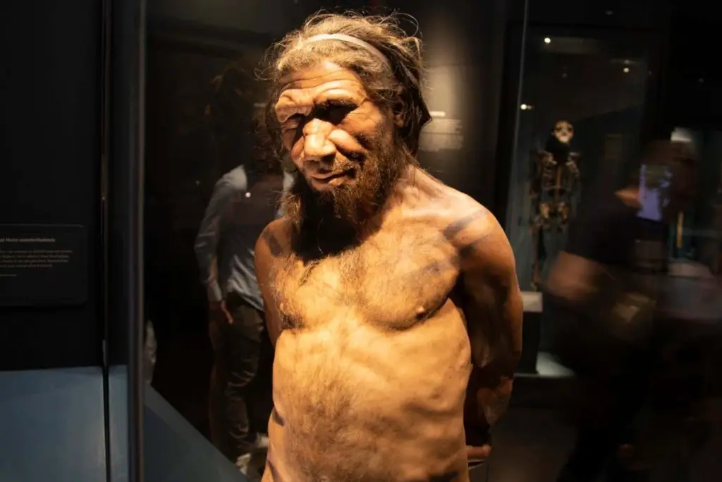Ancient Interbreeding: Was It Mostly Human Females with Neanderthal Males?