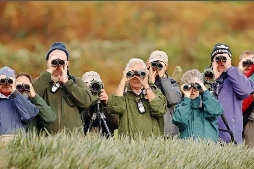 Birdwatching Expertise Linked to Distinct Brain Structures and Enhanced Cognitive Resilience