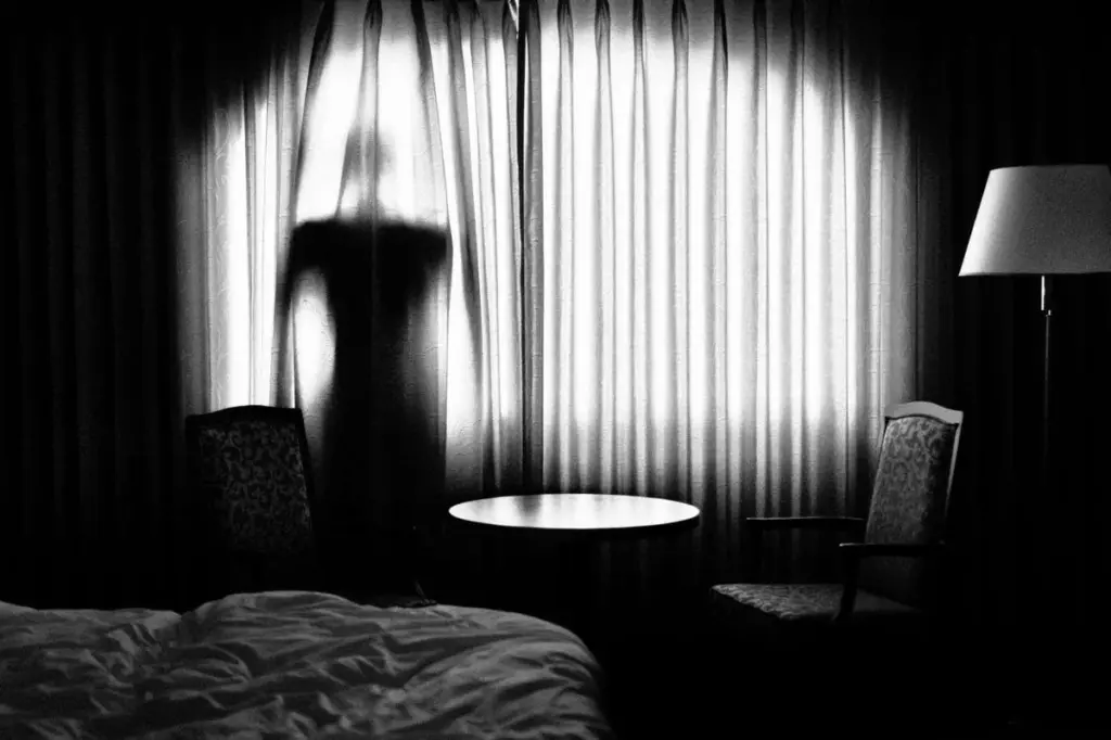 Exploring Two Contemporary Novellas: "Vigil" and "The Rainseekers"