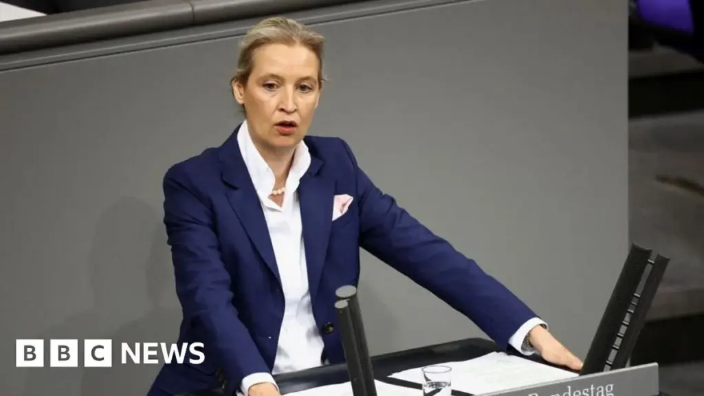 German Court Halts 'Extremist' Label for AfD Party, Temporarily