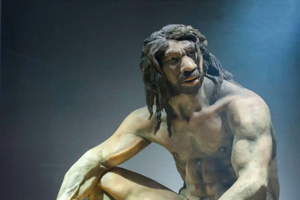 Human Evolution in 2025: Denisovans, Tools, and Unparalleled Intelligence