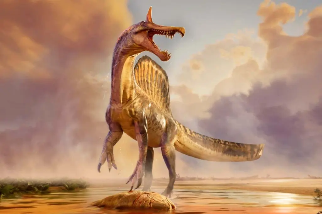 New Spinosaur Species Discovery Shifts Understanding of Ancient Predators
