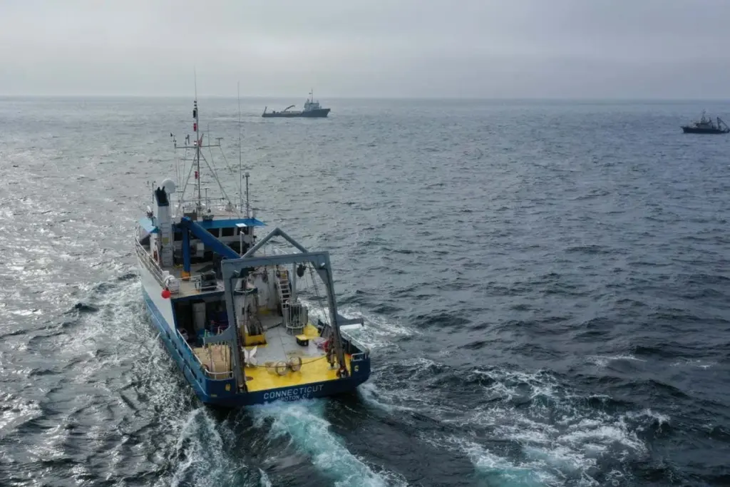 Ocean Trial Explores CO2 Removal via Alkalinity Enhancement