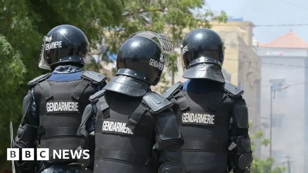 Senegal Dismantles Transnational Paedophile Network with French Cooperation