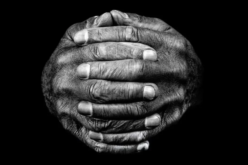 The Evolutionary Journey of Human Hands: Dexterity, Tools, and the Brain