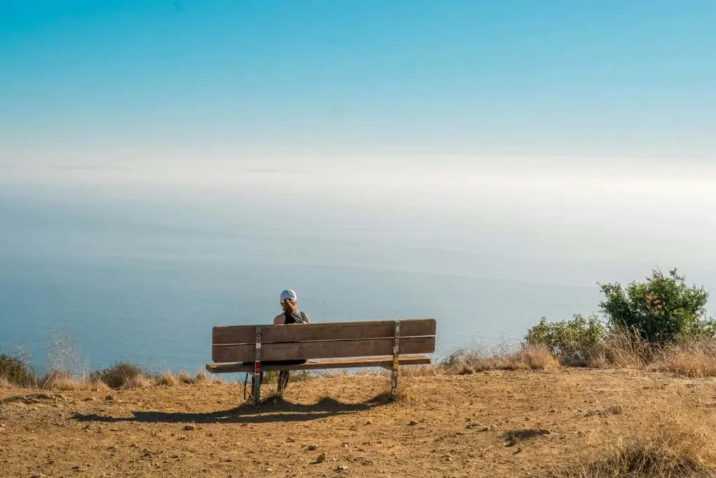 The Paradox of Connection: Loneliness in a Hyper-Connected World
