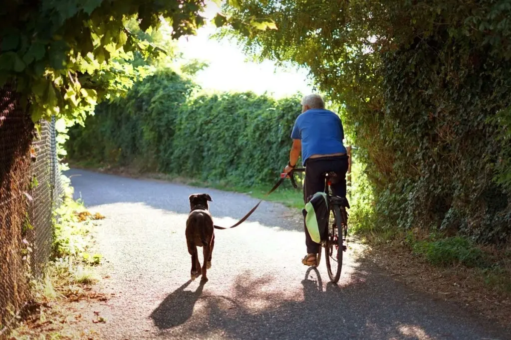 The Power of Variety: How Cross-Training Can Enhance Your Fitness and Longevity