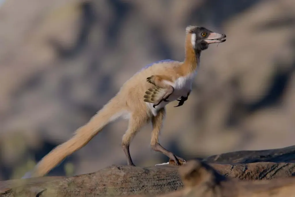 Tiny Dinosaur Fossil Sheds Light on Alvarezsaurs' Evolution
