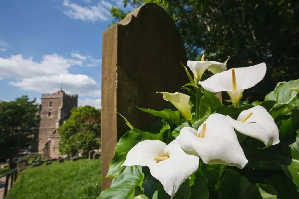 Understanding Prolonged Grief Disorder: A Neurobiological Perspective