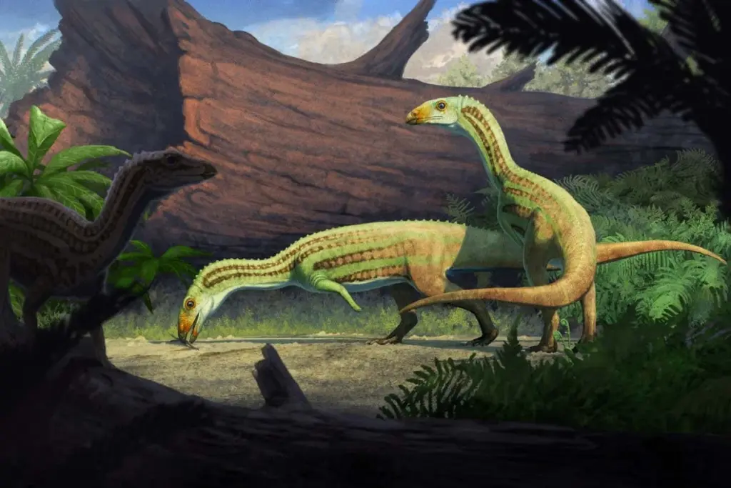 Ancient Crocodile Relative Shifted from Quadrupedal to Bipedal Stance During Growth