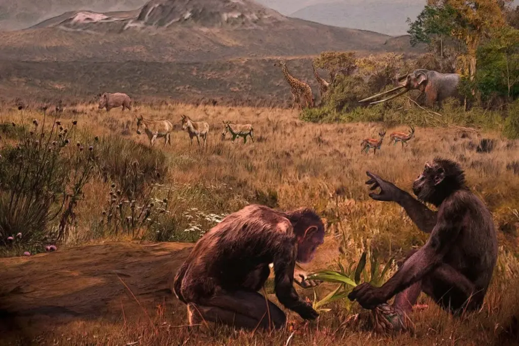 Ancient Leg Bone Suggests European Origins for Upright Walking