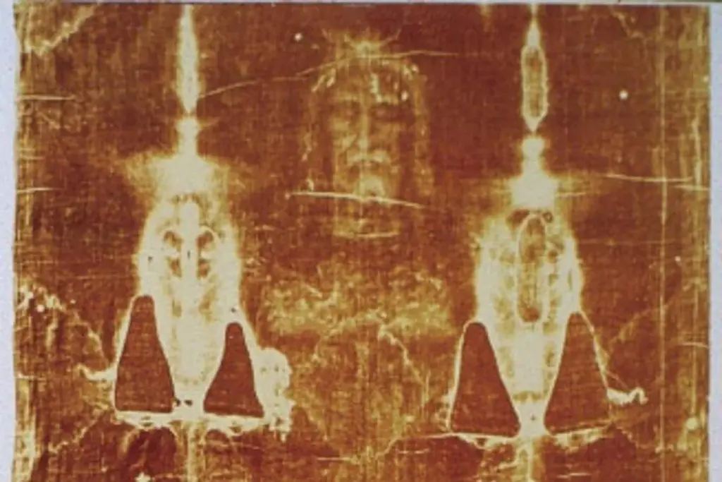 DNA Analysis Reveals Diverse Contaminants on the Shroud of Turin