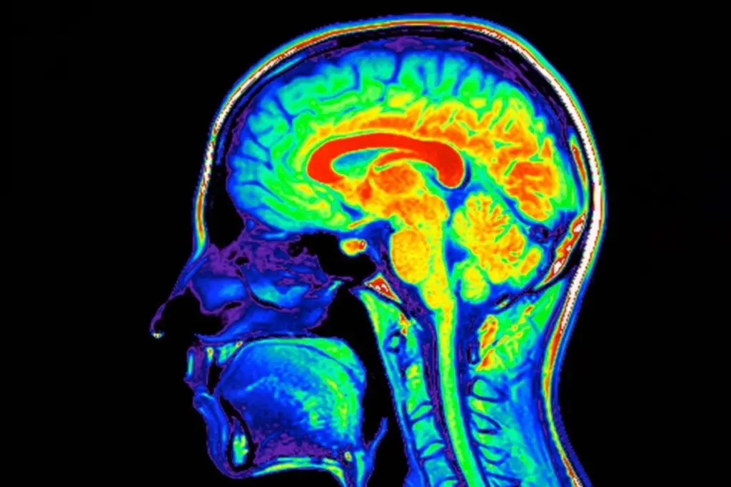 Facial and Neck Massage May Enhance Brain Waste Clearance, Offering Potential for Neurodegenerative Disease Treatment