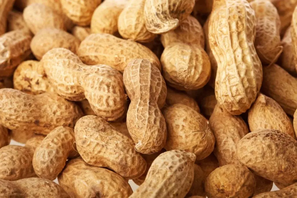 Gut and Mouth Microbes May Dictate Severity of Peanut Allergy Reactions