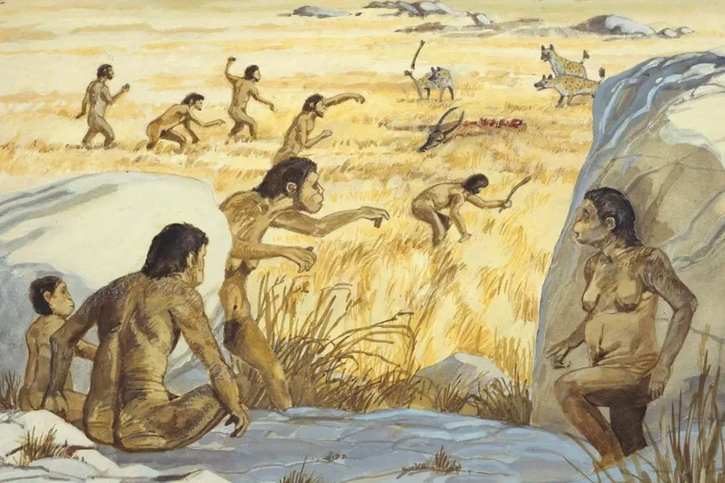 Homo Habilis: A Paradoxical Species at the Dawn of Humanity