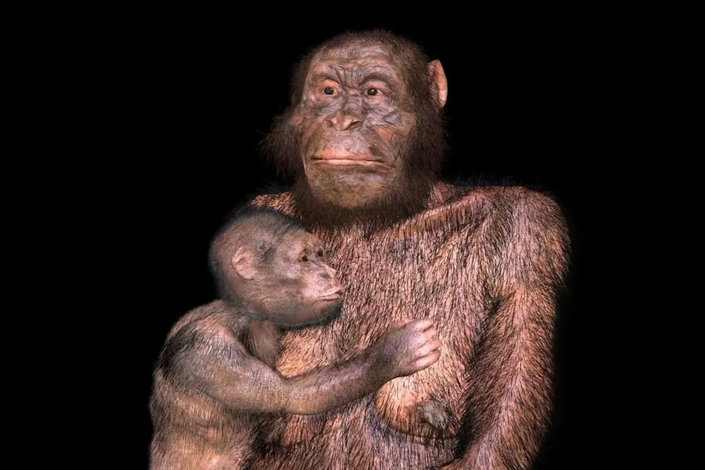 Labor Pains: Ancient Ancestors Faced Difficult Childbirth Risks