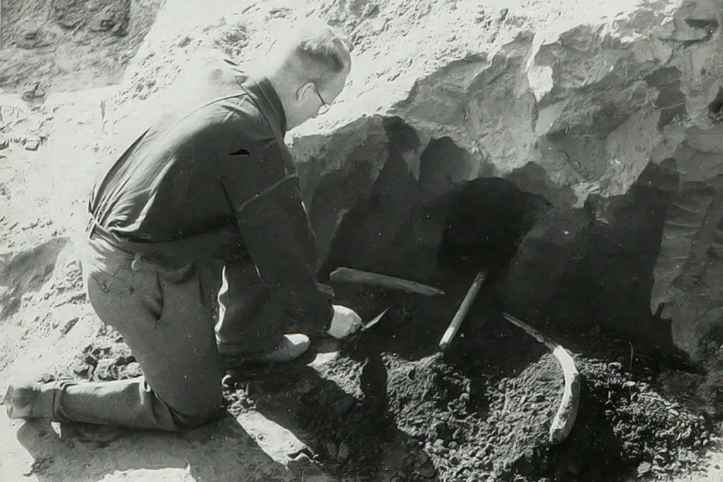 Lehringen Spear: Rediscovering a Neanderthal Hunting Scene