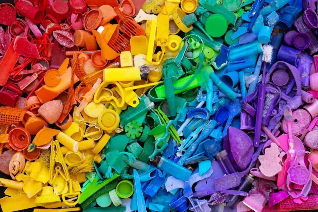 Microplastics: Separating Fact from Fiction in Our Diet and Bodies