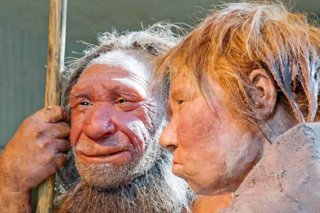 Neanderthal DNA Reveals Millennia of Hardship Preceding Extinction