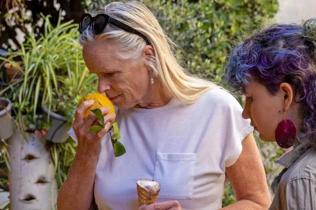 Parkinson's Disease Identified Through Distinct Smell Perception Differences