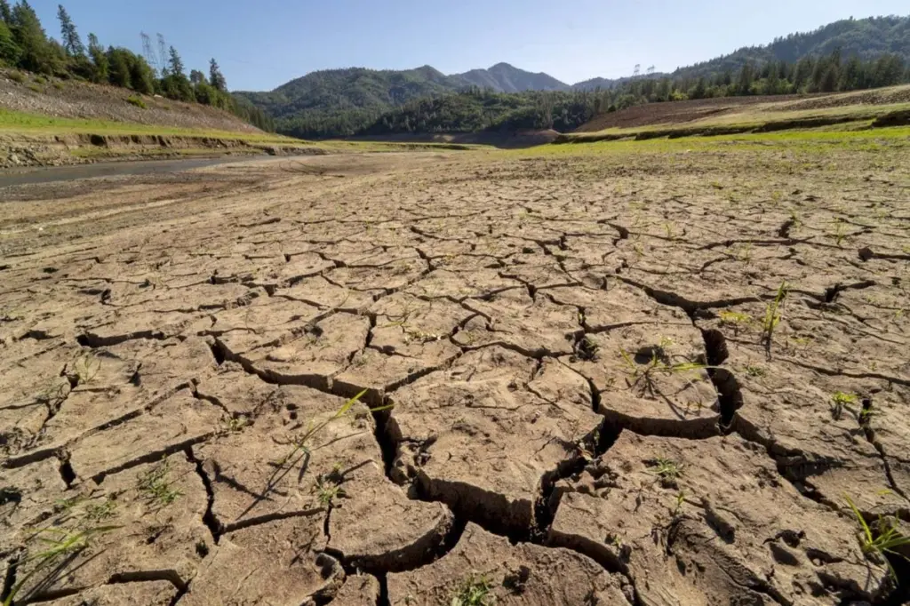 Rapid Evolution Offers Hope for Species Facing Climate Change