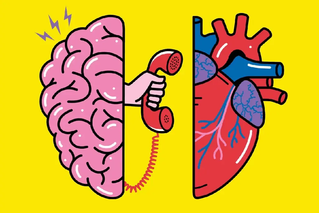 The Profound Interplay: Unveiling the Heart-Brain Axis Connection