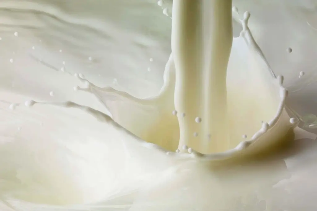The Unconventional Physics of Plant-Based Milks: A New Frontier in Beverage Science