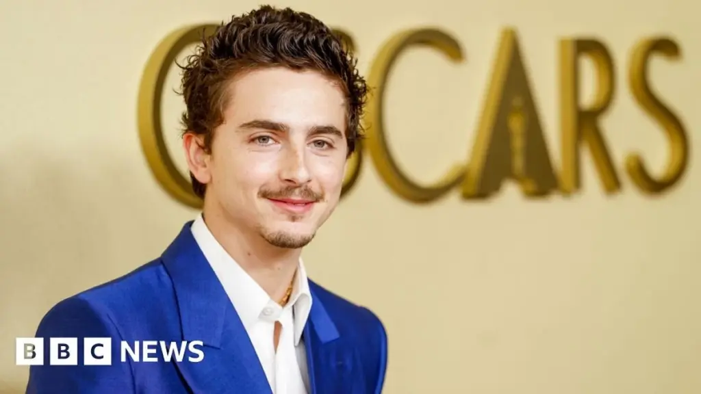 Timothée Chalamet's Stardom: An Examination of Recent Backlash