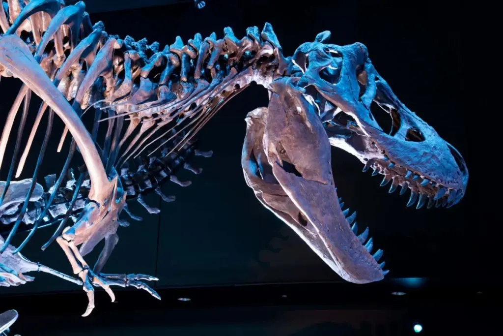 Tyrannosaurus Rex: Shedding the Crown of Sole King?