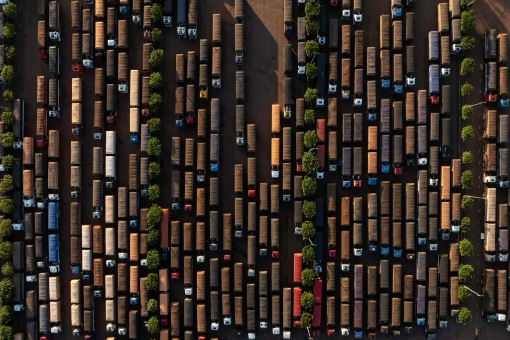 Amazon Deforestation: Documenting Environmental Shifts and Community Impact