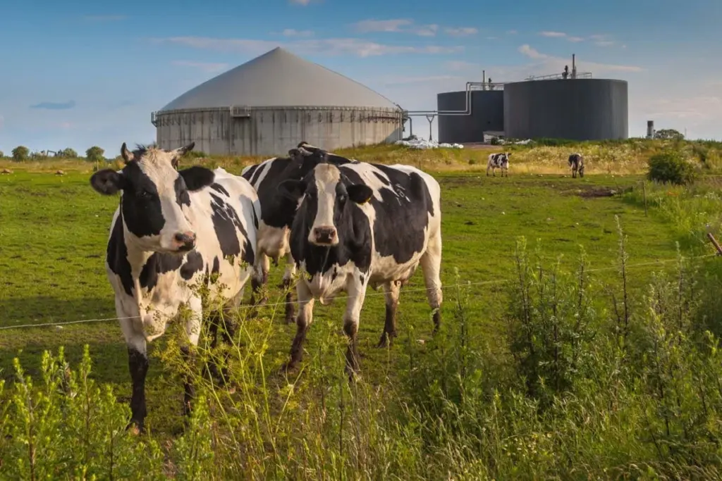 Methane Digesters: An Ambitious Climate Solution Facing Unforeseen Challenges