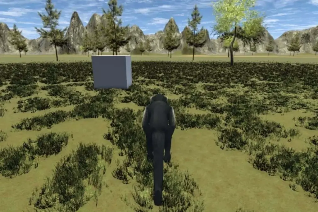 Monkeys Navigate Virtual Worlds Through Thought Alone