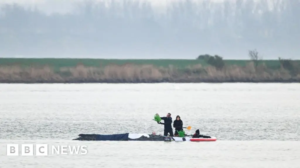 New Strategy to Save Stranded Humpback Whale Utilizes Air Cushions