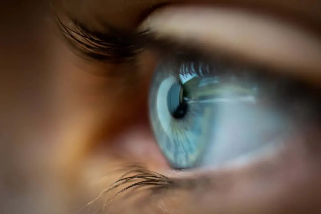 Novel Aquatic Virus Causes Glaucoma-like Symptoms, Vision Loss in Humans
