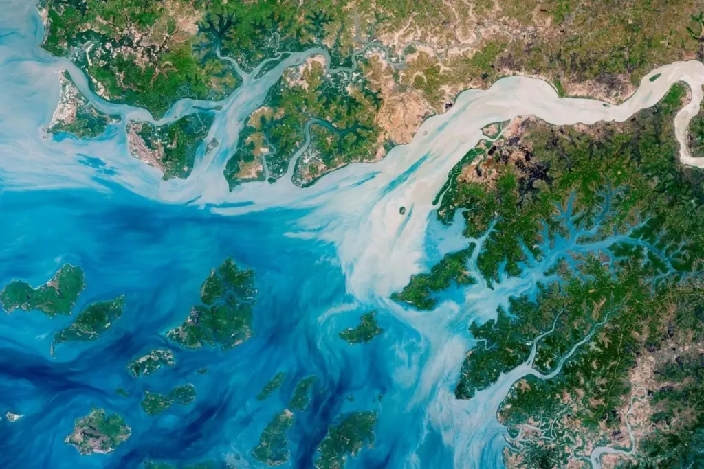Ocean Darkening: A Silent Crisis Beneath the Waves